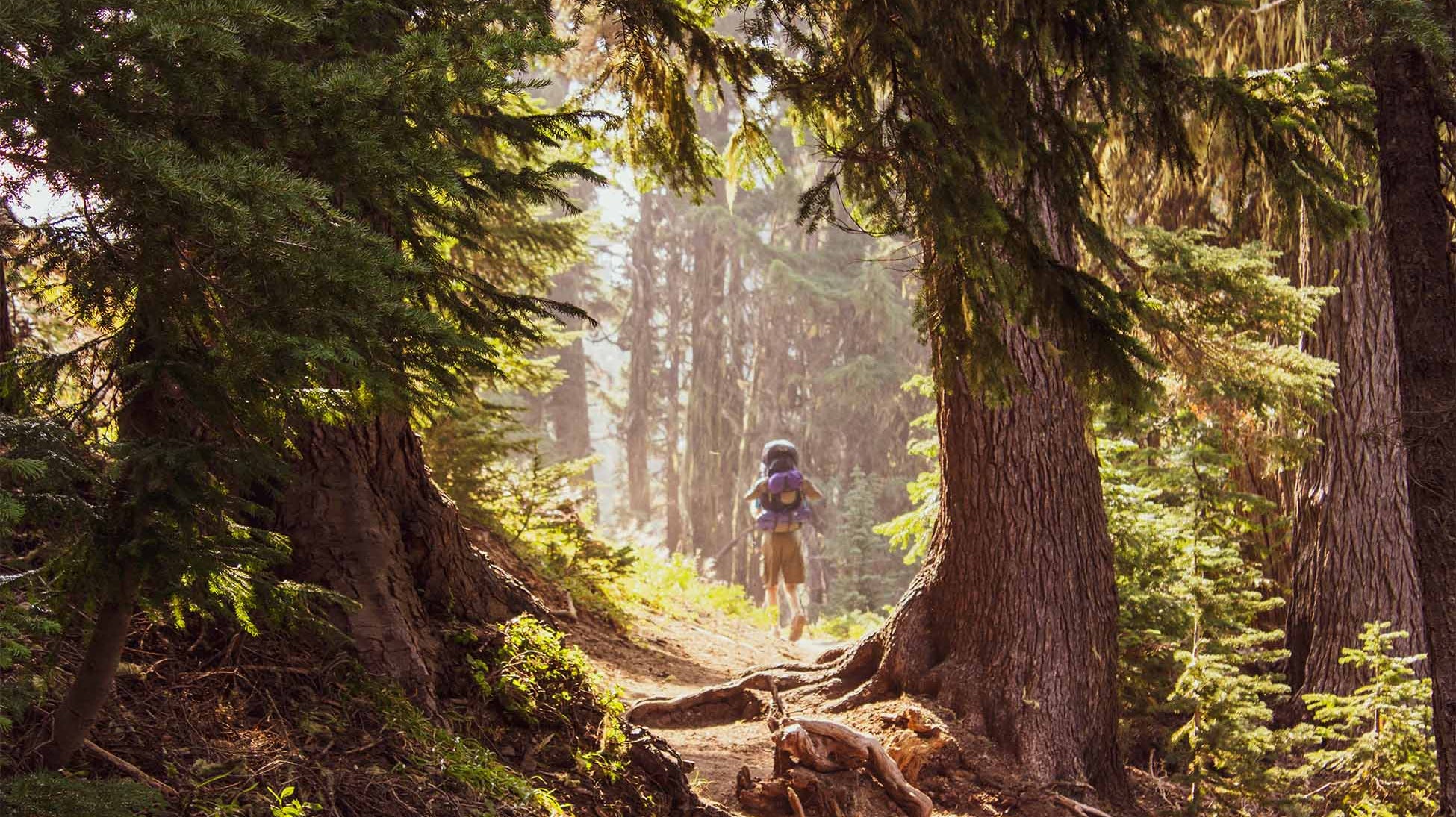 Embrace the Outdoors with Barefoot Shoes: Eco-Friendly Footwear for Your Adventures