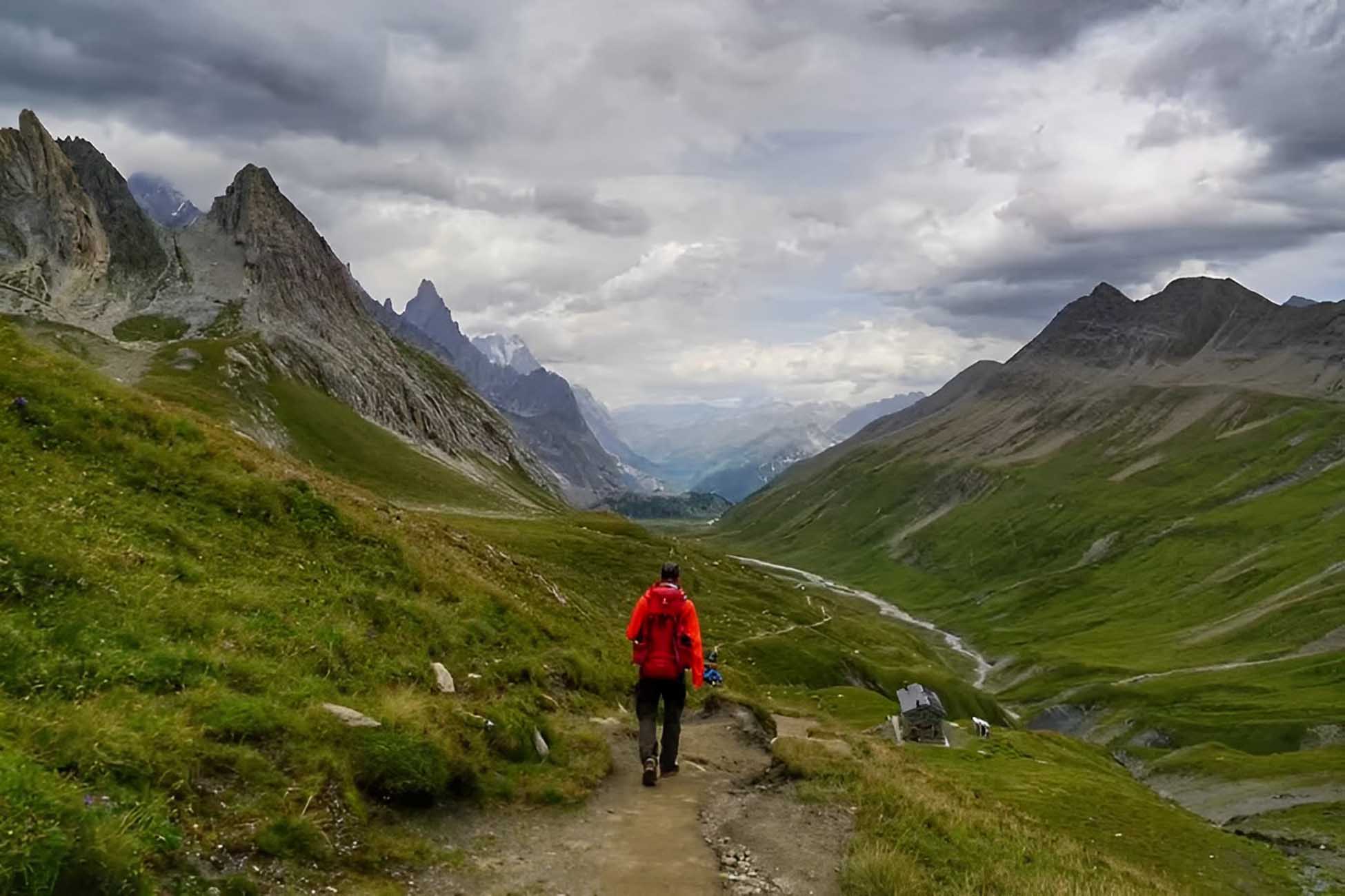 Born to Walk: Uncovering the Natural Way of Movement